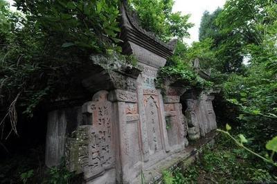 植物对墓地风水有何影响？植物与风水的联系