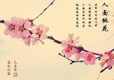 2024年人面桃花处处爆发的生肖