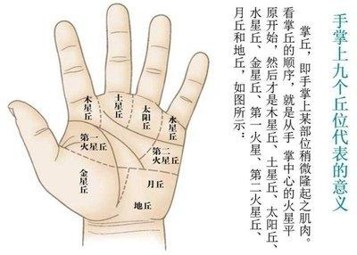 解析生命线分叉的寓意 生命线分叉代表了什么