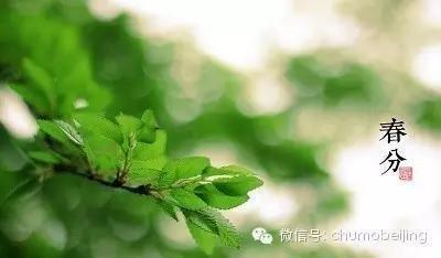春分天气暖和了吗 2024年春分天气怎么样?