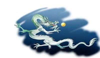属虎人和属龙人结婚合适吗 属虎人龙年结婚好不好
