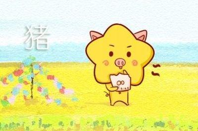95年属猪女2024年运势 属猪女今年有好运吗