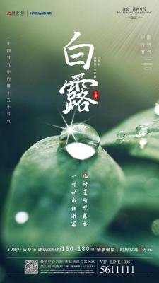 2024年白露是什么时候 2024白露节气是哪天