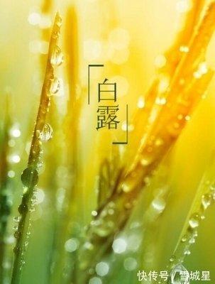2024年白露是什么时候 2024白露节气是哪天