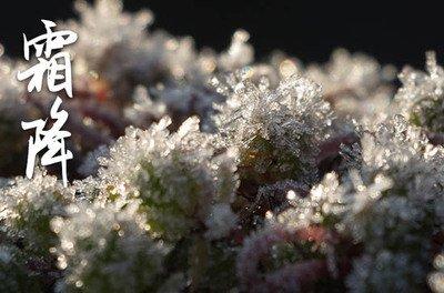 2024年霜降是什么时候 2024霜降节气是哪天