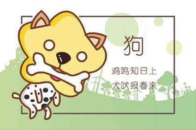 属狗和什么属相最合财 2024年属狗人财运如何