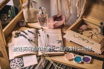 猜生肖喜欢喝酒的动物 盘点爱喝酒的生肖