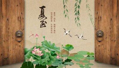 2024年夏至是几月几日,2024年夏至是哪天