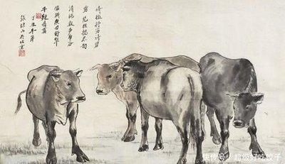 1979年属羊是什么命,1979年出生人的命运