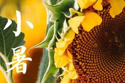 2024年小暑是什么时候 2024小暑节气是哪天