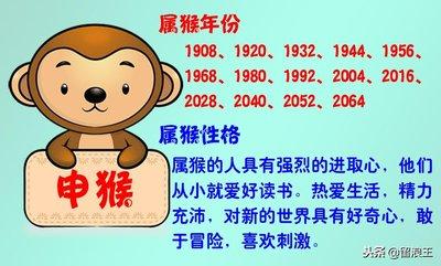 1979年12月12日中午11-13点出生性格、运势和命运