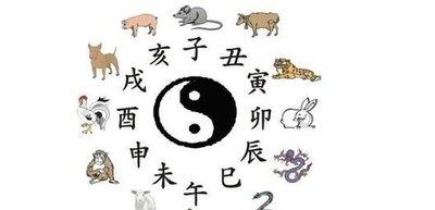 1979年12月12日中午11-13点出生性格、运势和命运