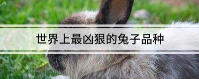 面相凶恶杀气大的男人 怎么通过面相得知男人性格