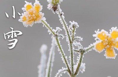 2024年小雪是几月几日,2024年小雪是哪天