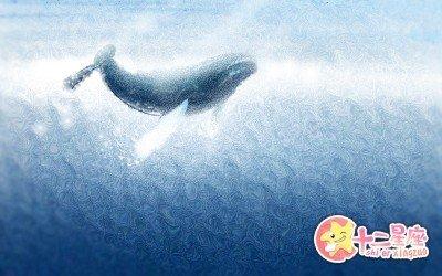 Annemilk占星2024年8月十二星座运势