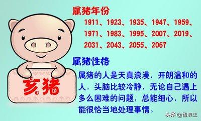 1977年10月27日晚上19-21点出生性格、运势和命运