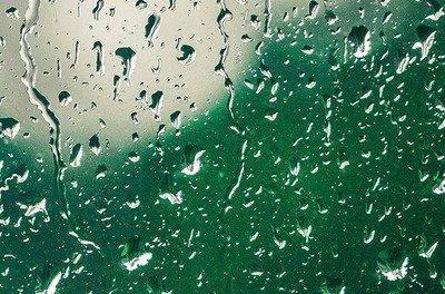 2024年谷雨是什么时候 2024谷雨节气是哪天