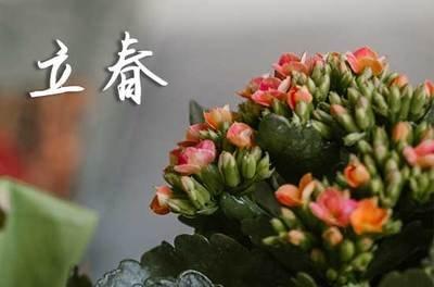 2024年立春是什么时候 2024立春节气是哪天