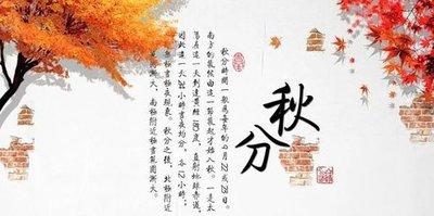 1995年12月21日晚上23-24点出生性格、运势和命运