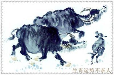 1979年1月14日下午15-17点出生性格、运势和命运